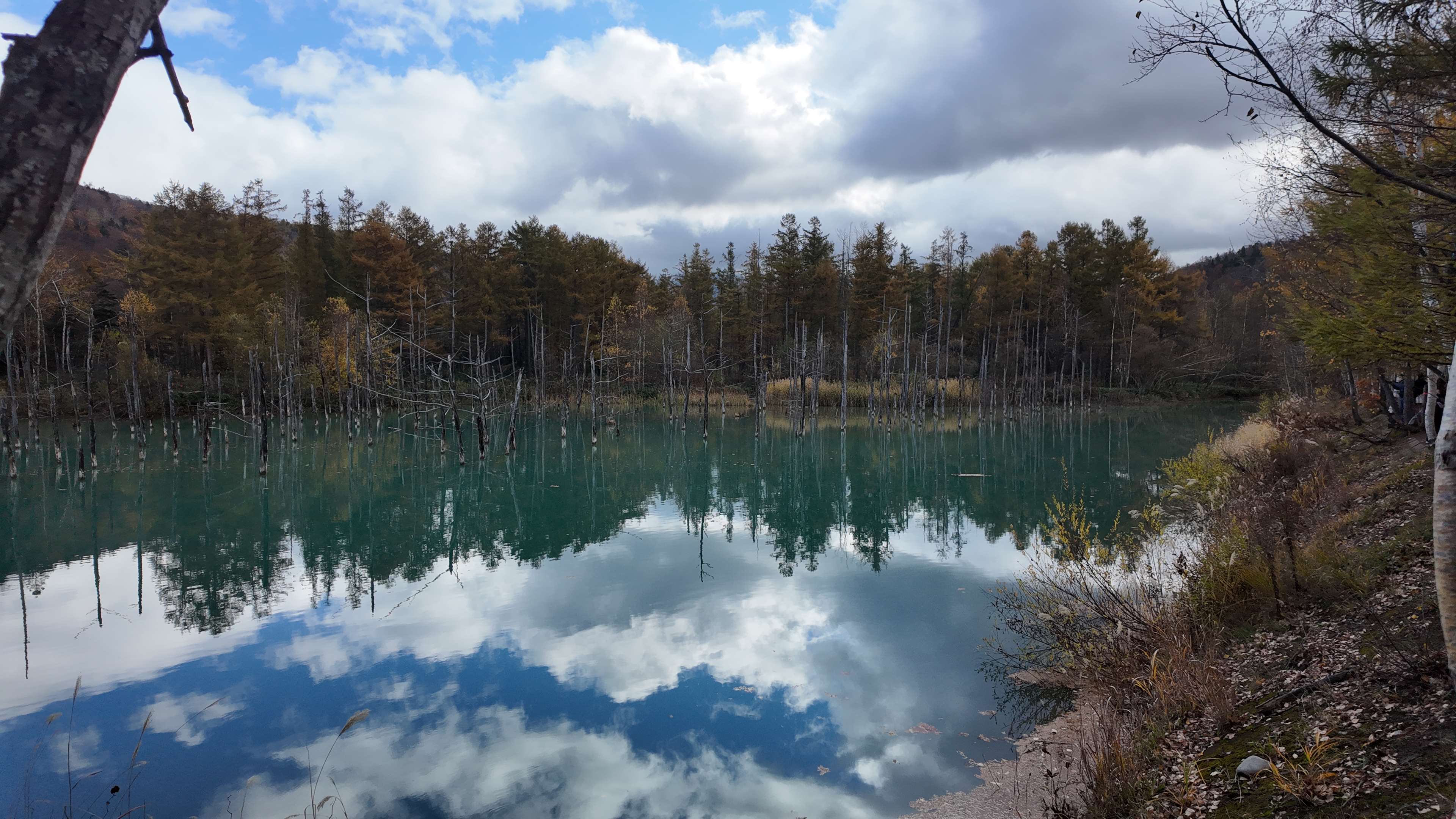 Blue Pond, Biei