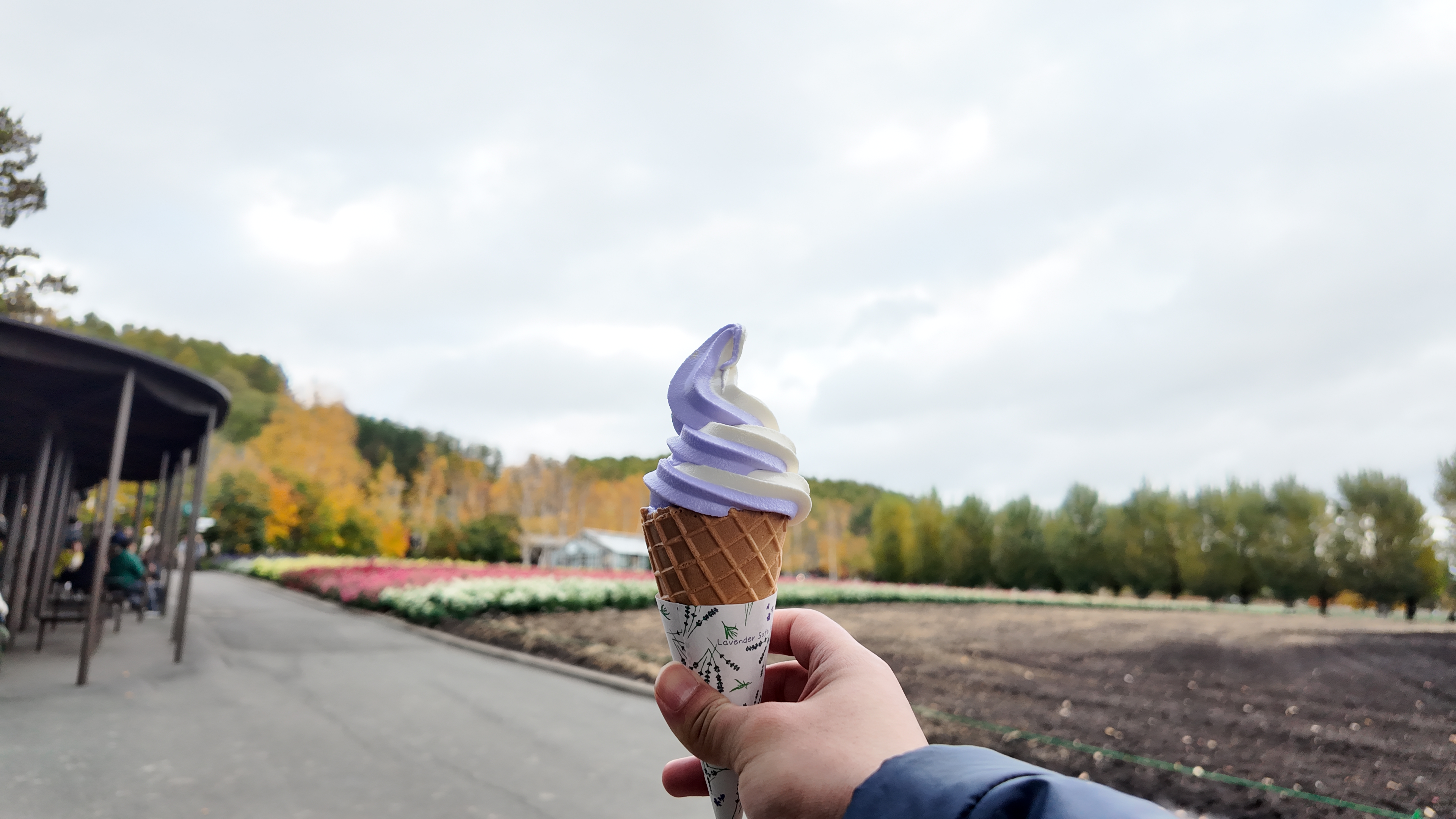 Lavender Softserve, Farm Tomita